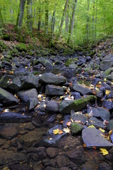 Der Eisgraben im Naturwaldreservat Eisgraben bei Hausen in der Rhön, Biosphärenreservat Rhön, Unterfranken, Franken, Bayern, Deutschland.