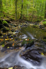 Der Eisgraben im Naturwaldreservat Eisgraben bei Hausen in der Rh&ouml;n, Biosph&auml;renreservat Rh&ouml;n, Unterfranken, Franken, Bayern, Deutschland.