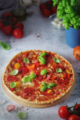 Pizza with salami and basil	