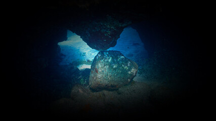 Fototapeta na wymiar Inside a cave underwater