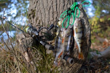 Fishing on the river, catch.