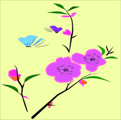 flowers and butterflies