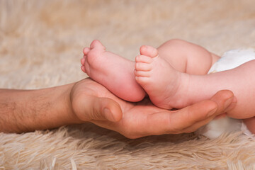 Dad holds in his hands a small baby foots. Small legs of a newborn baby in large hands of dad. Baby foot massage