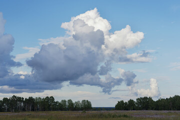 A large storm cloud hung over the land, field and forest.