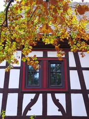 Fenster im Herbst