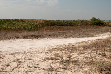 Countryside coastal sand road in summer time