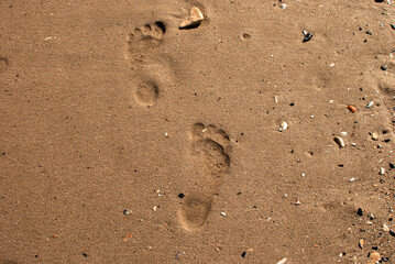 Fototapeta na wymiar Steps of bare human feet on wet sand of sea beach