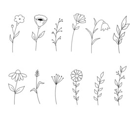 Wildflowers and flowers collection, drawing, line art, vector. Set of Isolated simple plants in outline style on white