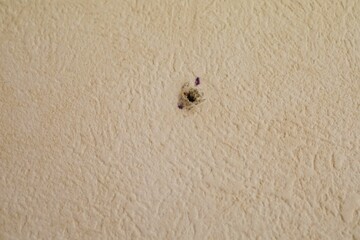 Hole in the wallpaper of the apartment. November 2021 Japan.