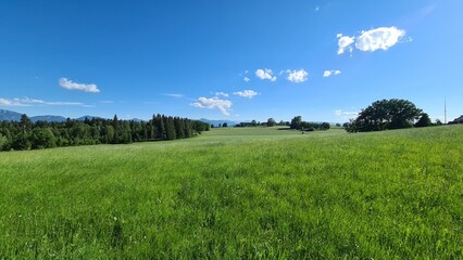 Landscape near Penzberg in Germany