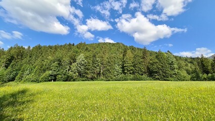 Fototapeta premium Landscape near Siebenhuetten in Germany