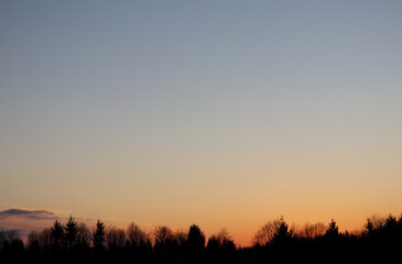 Fototapeta premium 夕暮れ 冬 木 空