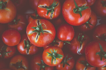 A fresh organic raw and sweet red tomatoes food background. Top view. 