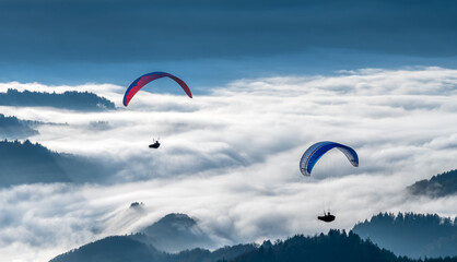 Two paragliders over ground fog in the Black Forest