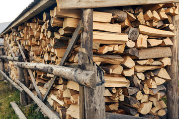Chopped beech firewood is stacked under cover
