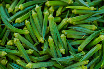 uncooked Green okra or lady finger at agriculture field.