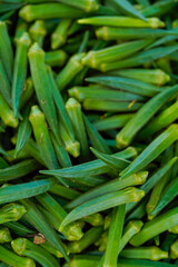 uncooked Green okra or lady finger at agriculture field.