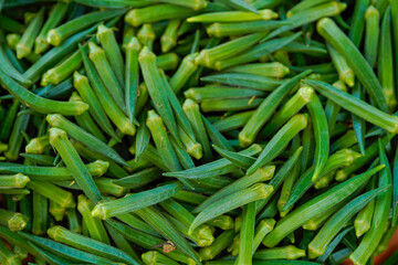 uncooked Green okra or lady finger at agriculture field.