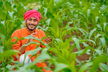 Indian farmer using smartphone at green corn field.