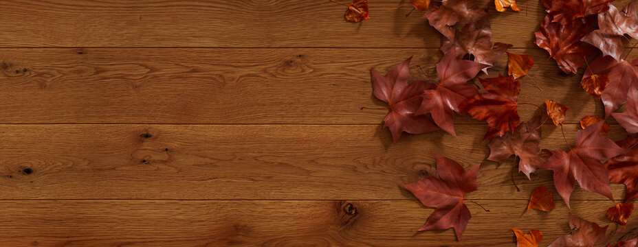 Fall flat lay with leaves. Thanksgiving concept with copy space.