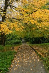 Naklejka premium Glenvea National Park. With charming courtyards, a rock garden, an amusement park and forest gardens