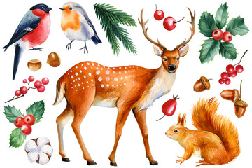 Obraz premium Winter animals on a white background, squirrel, bullfinch, robin and deer. Watercolor parnting