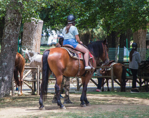 Fantino a cavallo