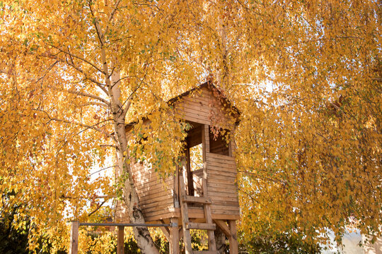 Tree house in the fall - surrounded by yellow leaves