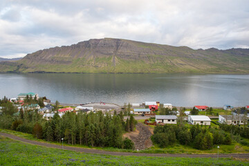 Town of Neskaupsstadur in Nordfjordur fjord in Iceland