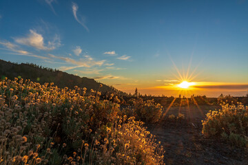 Sunset Teide