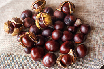 chestnuts on a craft fabric background