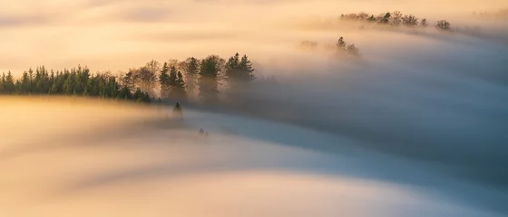 Papier peint photo Le salon Fog streams down through trees into a valley in the Black Forest  © Markus Semmler