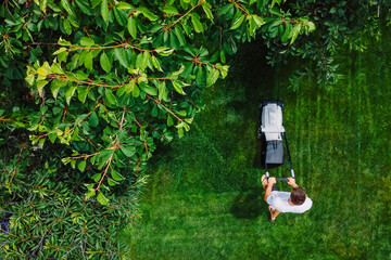 Man pushing lawn mower for cutting grass in garden at summer. Aerial view.