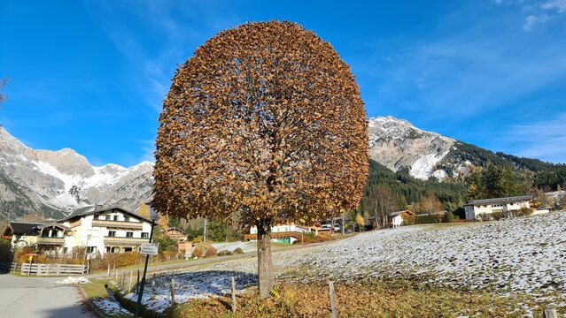 Mountains near Hinterthal in Austria
