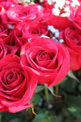 bouquet of roses