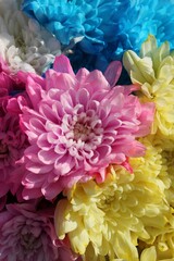 bouquet of chrysanthemums