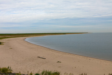 Panorama view of beautiful dutch beach at low tide. Sandy beach at Ijsselmeer. Wild nature Netherlands