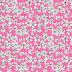 A blooming floral pattern in blooming botanical motifs is scattered randomly. Seamless vector texture. For fashionable prints. Hand-drawn print on pink background