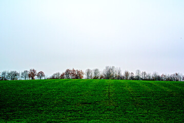 Herbst 2021 Doos und Veitsberg
