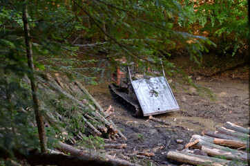 Illegal logging in Carpathians. Lumber carrier unloading stolen tree trunks. Site near Lugi village, Ukraine