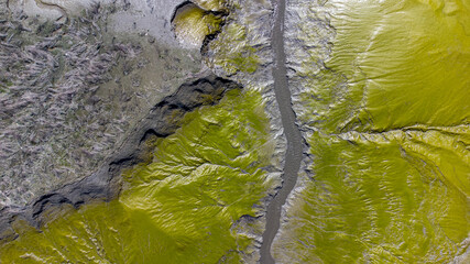 Aerial drone top down view of river structure, green patterns and textures from top to down in Antwerp, Belgium