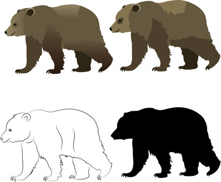 set of silhouettes of bear for stock  market