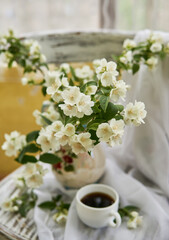 Jasmine flowers in a white vase. Stillife with jasmine and cup of coffee.