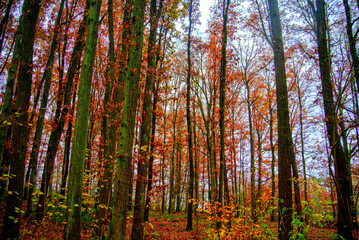 Herbst 2021 Doos und Veitsberg