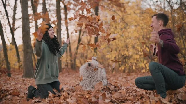 Couple playing with dog. Young cheerful couple throw fallen leaves at their calm pet. Hungarian Shepherd Dog Buli breed in nature.
