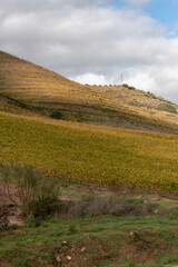 Naklejka premium Outono, Douro Valley, 2021