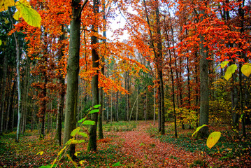 Herbst 2021 Doos und Veitsberg
