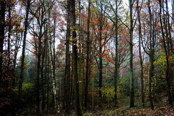 Herbst 2021 Doos und Veitsberg