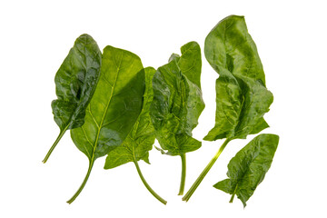 Green raw spinach leaves isolated on white background, Top view, flat lay with clipping path