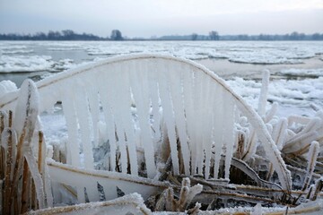 Beautiful natural phenomenon - ice covered branches and long icicles on woods on the coast at the Vistula mouth to the Baltic, Sobieszewska Island, Poland